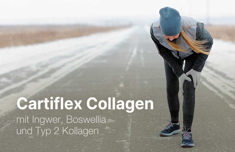 Cartiflex Collagen